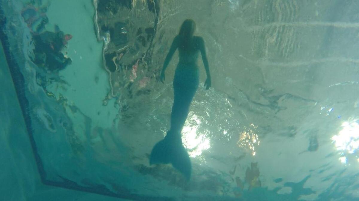 Ashton Larson spends most of her mornings practicing free diving in her mermaid tail at Adventure Scuba and Snorkeling Center of Plano.
