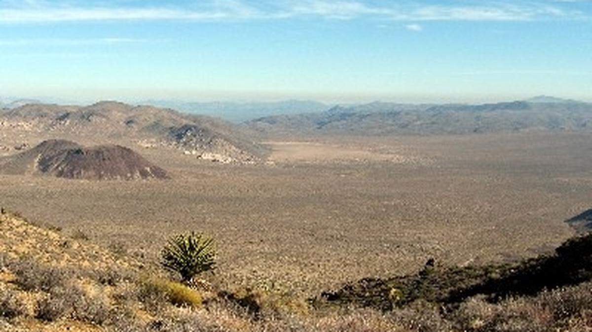 Joshua Tree National Park officials suspended a missing person search after a body was found within the park.