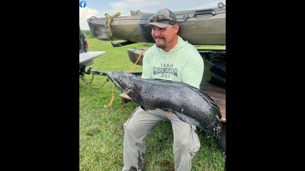 Cook, a full-time fishing guide, is on the water almost every day, he said.