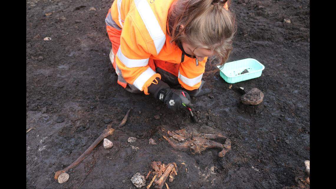 The bones are now undergoing tests to determine the age of the person and how long the bones were buried.
