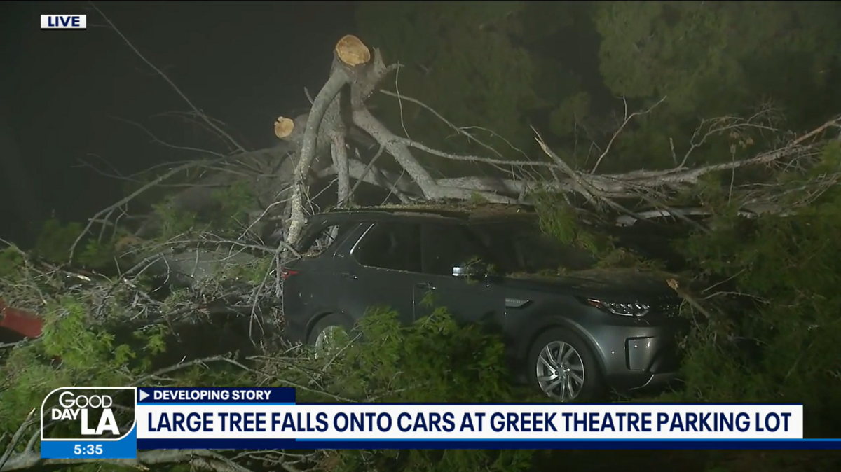 A tree came crashing down in the parking lot of Los Angeles’ Greek Theatre after a sold-out show, damaging 30 cars and injuring 1 person.