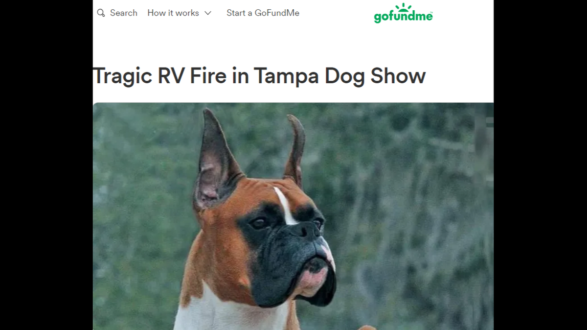 Boxers trapped in an RV at a Florida dog show died as people tried to save them, officials said.