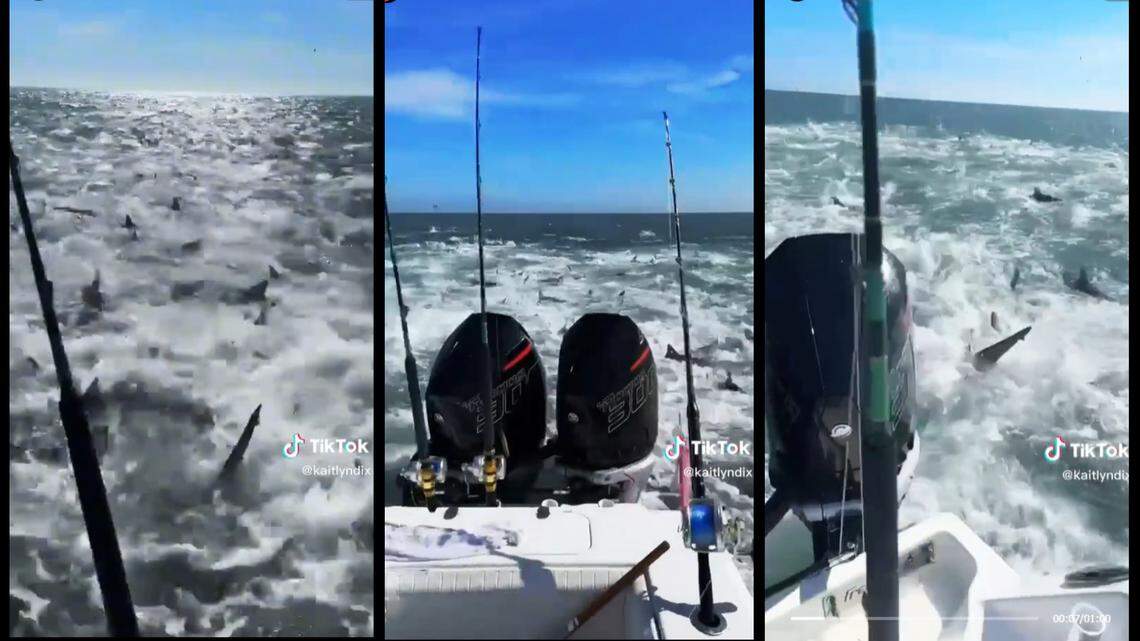 The video, posted on the fisherman’s girlfriend’s TikTok, has over 600,000 views and thousands of likes.