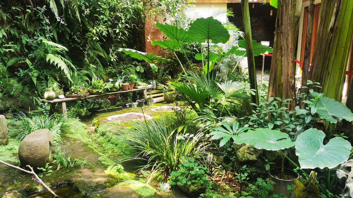 In the southern China restaurant, once a home, the pits had sat for millions of years.