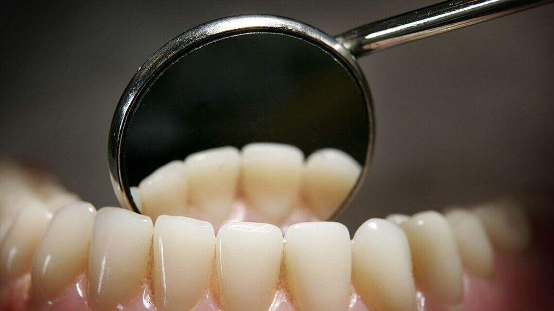 A drug already in human trials could reverse tooth loss by 2030, a condition that affects millions