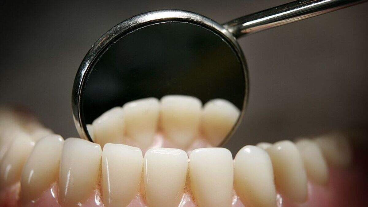 Tooth loss affects millions of people worldwide: A new drug already in human trials wants to stop it.