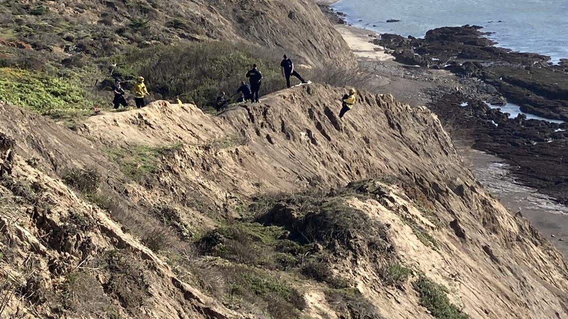 A 9-month-old border collie was rescued using a pulley system after the puppy fell off a steep cliff in Moss Beach, rescuers said.