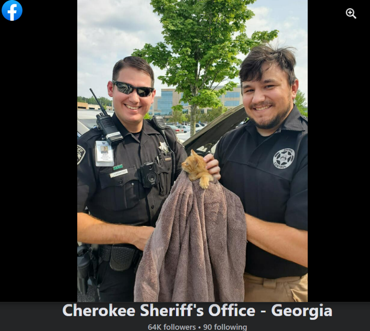 The kitten will be available for adoption in a few weeks, the sheriff’s office said in an update.