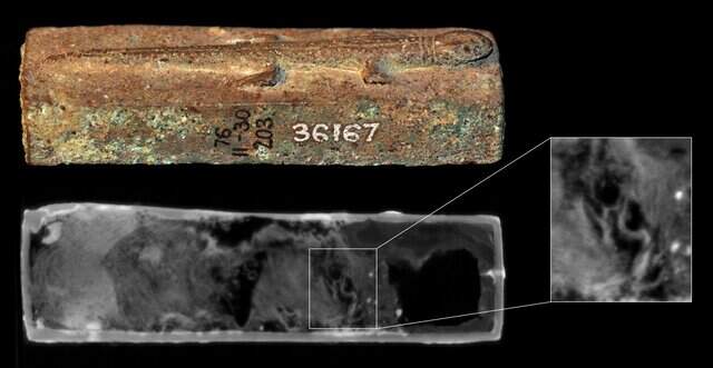 Mummified lizards found in sealed Egyptian coffins: study | Miami Herald