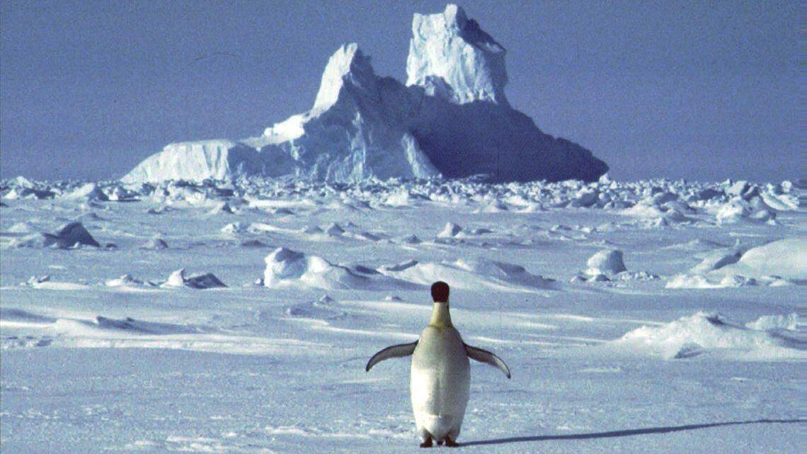 It’s all the penguins’ now, but Antarctica is certain to be a target for fossil fuel exploration in the future.