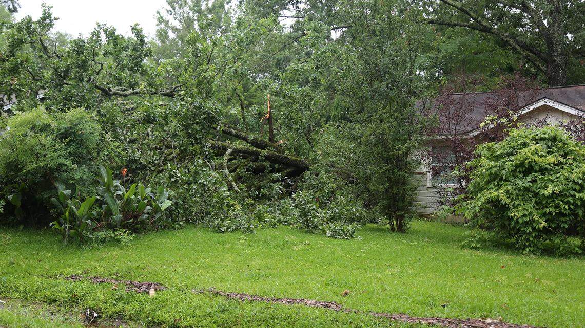 A Lufkin, Texas, woman was killed when a tree fell into her bedroom after a heavy rain storm flooded the region, police say. Photo from Lufkin Police Department on Facebook.