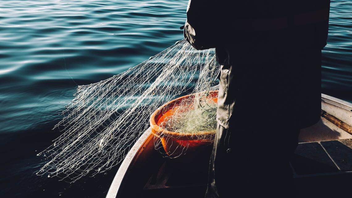 An Australian fisherman brought in his net to find something bizarre.