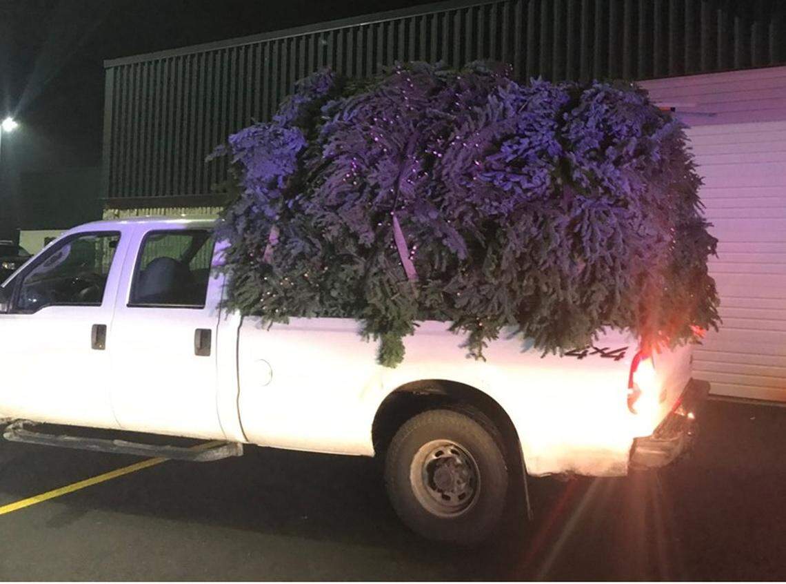 Oregon deputies said the fir boughs illegally taken from Willamette National Forest weighed 3,800 pounds.