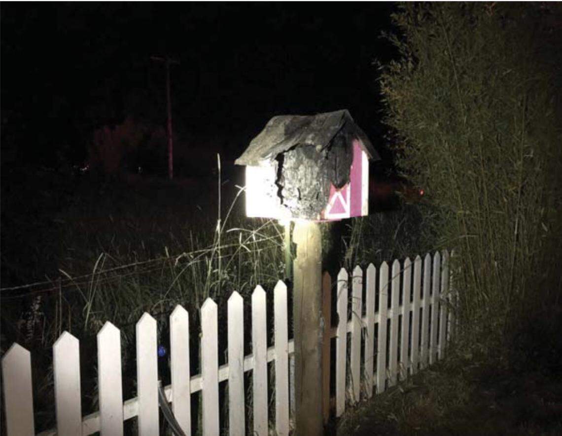 A Centralia, Washington, man cited with reckless burning for torching his birdhouse bee nest said he faces up to a year in jail and a $10,000 fine. 