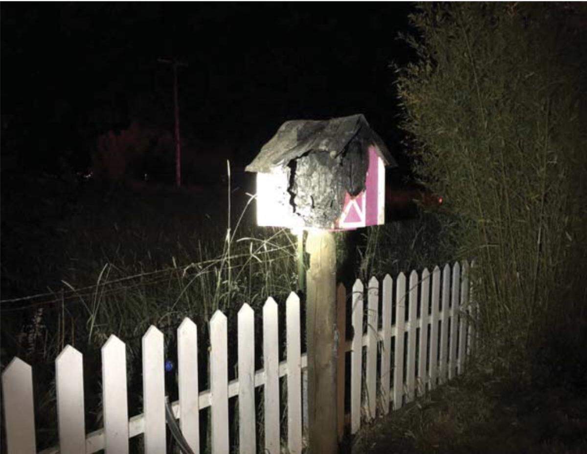 A Centralia, Washington, man cited with reckless burning for torching his birdhouse bee nest said he faces up to a year in jail and a $10,000 fine. 