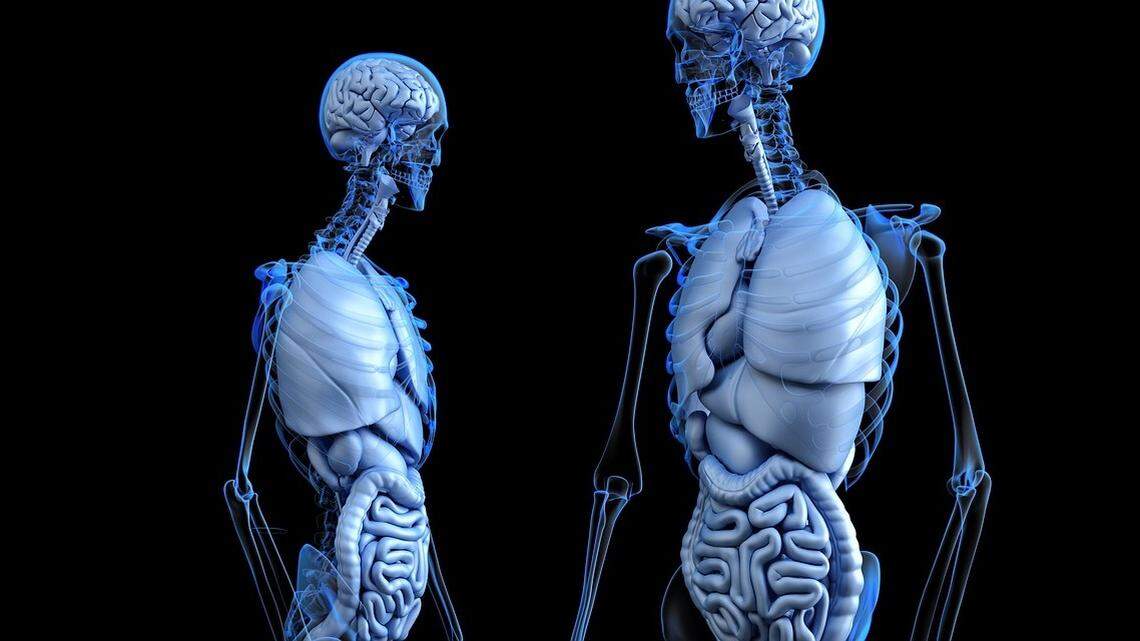 Yea, you've got your top brain, and it makes you smart. But you also have a bottom brain, and it does its part.