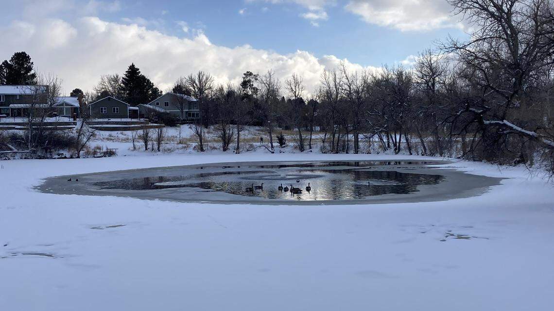 A dog and its owner fell through the ice of a frozen pond in Colorado, rescuers said.