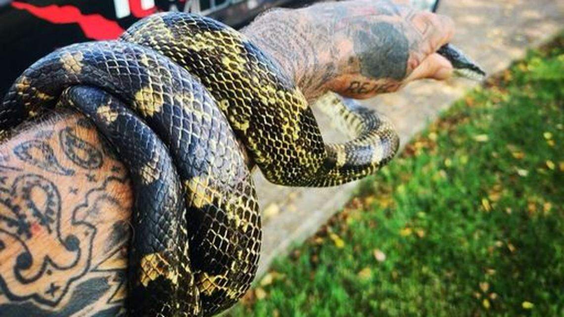 A homeowner in Tennessee found a six-foot rat snake on the floor of his bathroom when he got out of the shower on Monday, July 5, 2021.