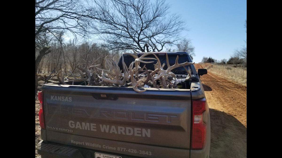 A Sharon, Kansas, man pleaded guilty to poaching 60 deer and was sentenced to prison, wildlife officials say. Photo from Kansas Wildlife, Parks & Tourism - Game Wardens.