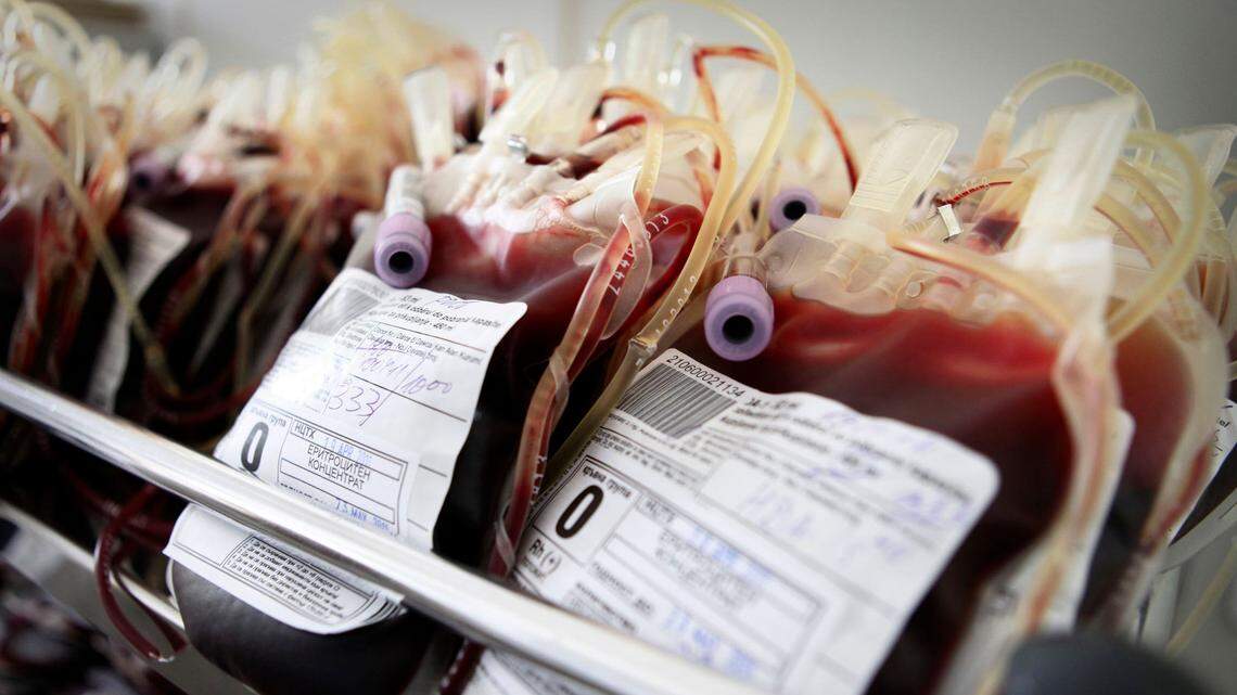 Blood units are prepared for storage at the National Center for Clinical and Transfusion Hematology in Sofia, Bulgaria.