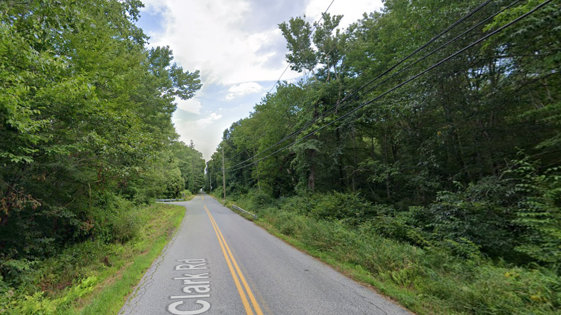 A 52-year-old man was killed by a falling tree in Colchester, Connecticut, police said.