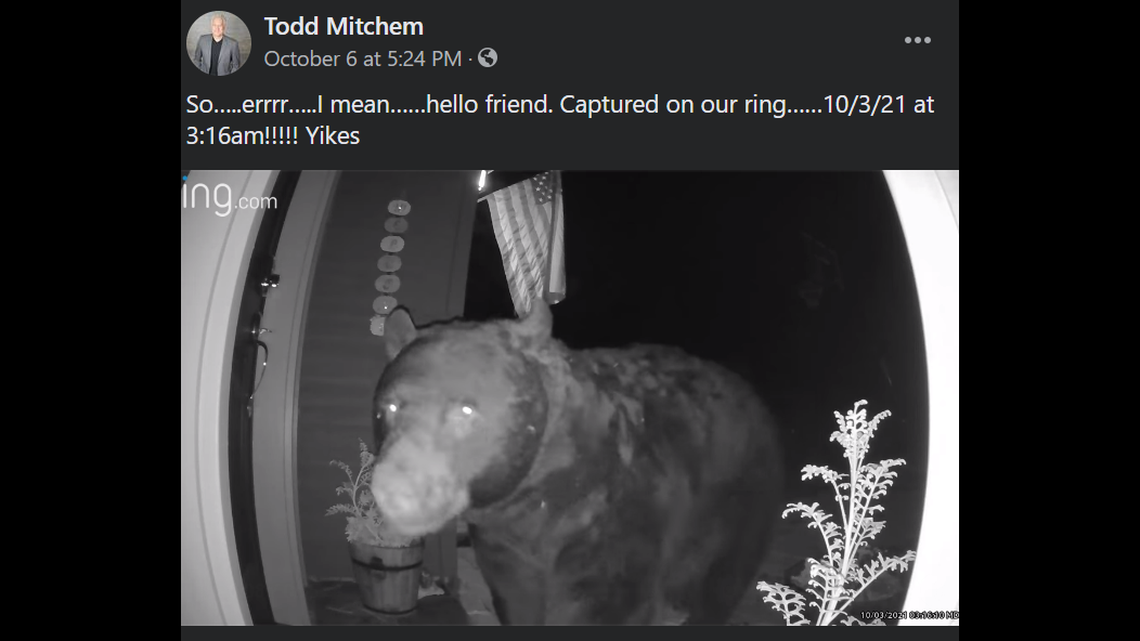 Colorado resident Todd Mitchem shared a video on Facebook of a bear that approached his front door late at night.
