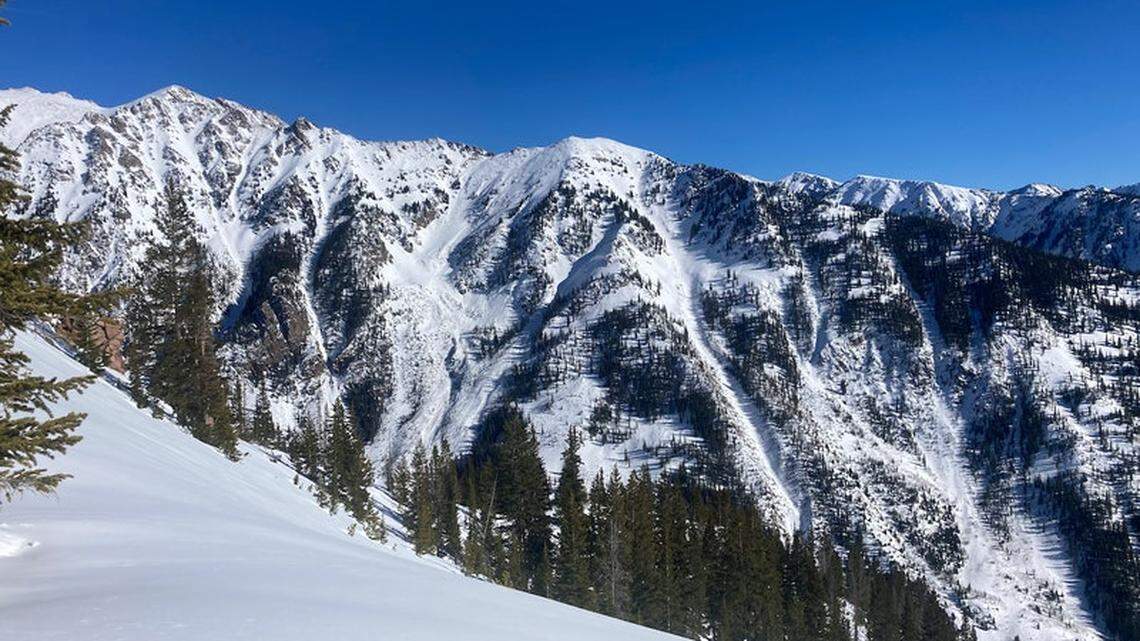 A skier triggered a very large avalanche on a northwest-facing slope near treeline in Pitkin Creek on Jan. 30, 2022.