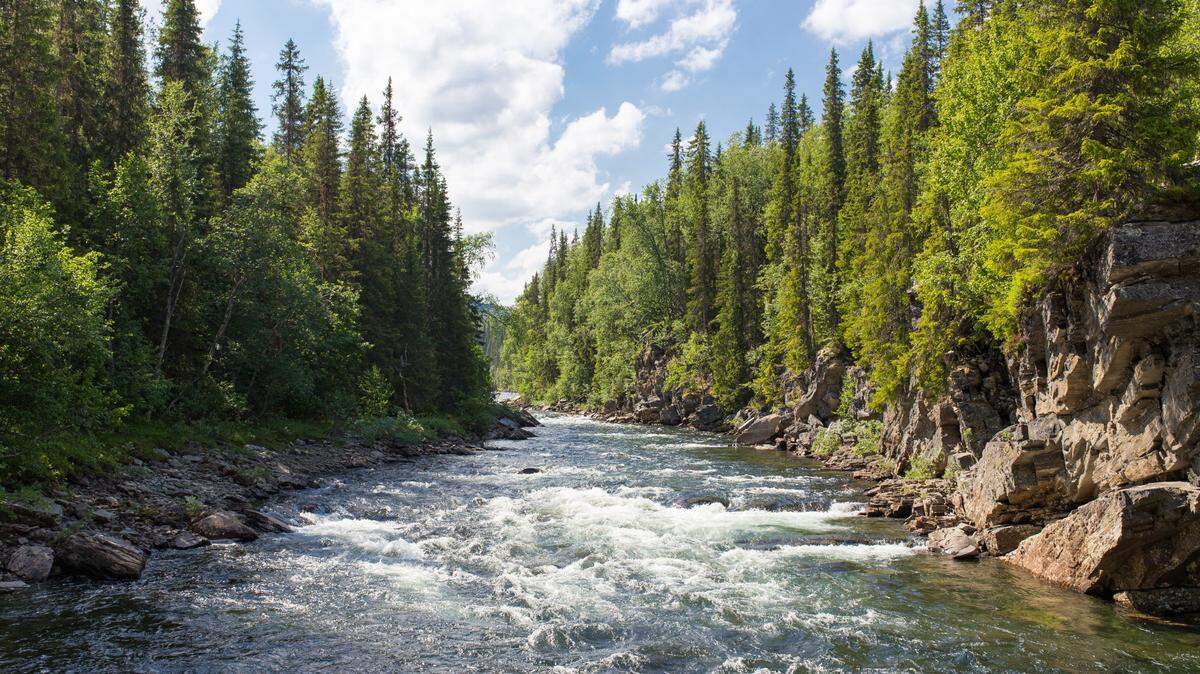 The homemade zipline stretched across a Tennessee river, police said.