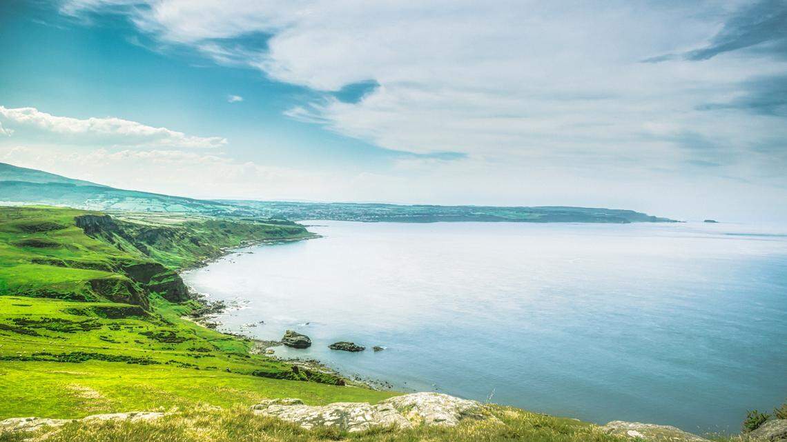 A bird rarely seen in Northern Ireland made a surprise appearance after being blown off course.