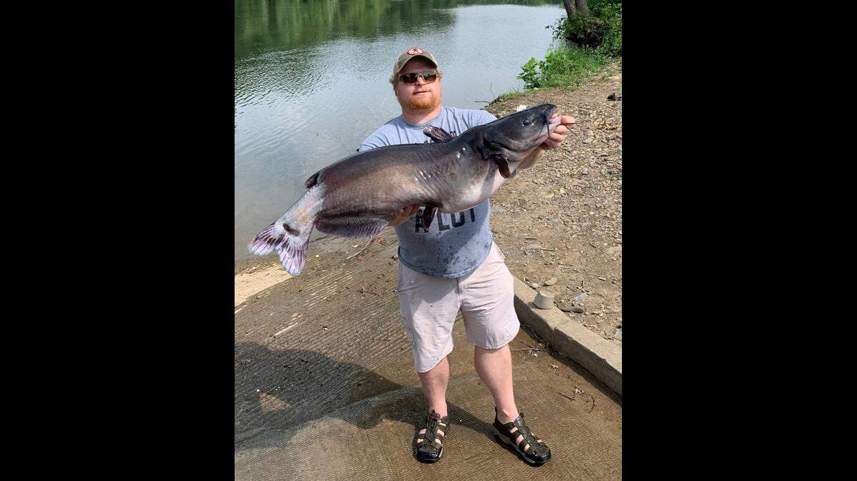 Angler pulled in a record-breaking fish two years in a row at the same lake in Grant County, West Virginia.