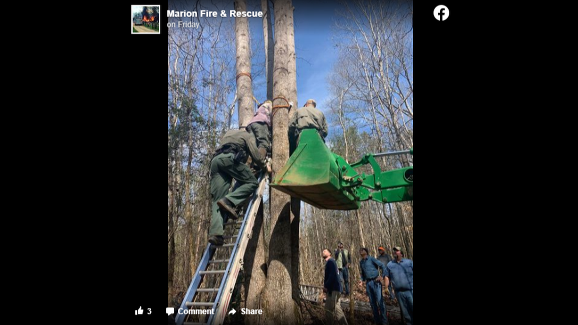 The hunter was sitting in a deer stand when the stand collapsed, trapping him between the stand and the tree.