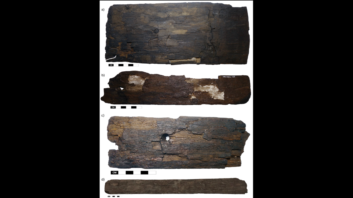 A study of wood reveals Vikings were traveling to North America around 500 years before Christopher Columbus.