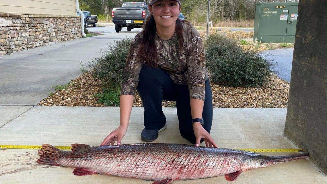 Rachel Harrison set a state record when she caught a particularly large, primitive-looking fish with needle-like teeth, the Georgia Department of Natural Resources said.