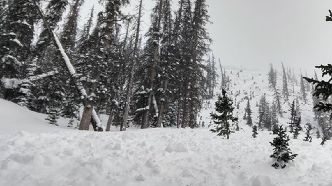 A dog, snowboarder and skier were buried in an avalanche on Mount Peck in Colorado, the Colorado Avalanche Information Center said.