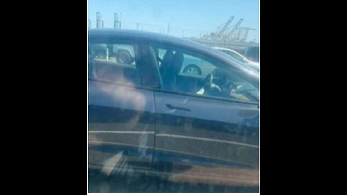 California Highway Patrol made an arrest after multiple concerned drivers reported a Tesla driving itself.