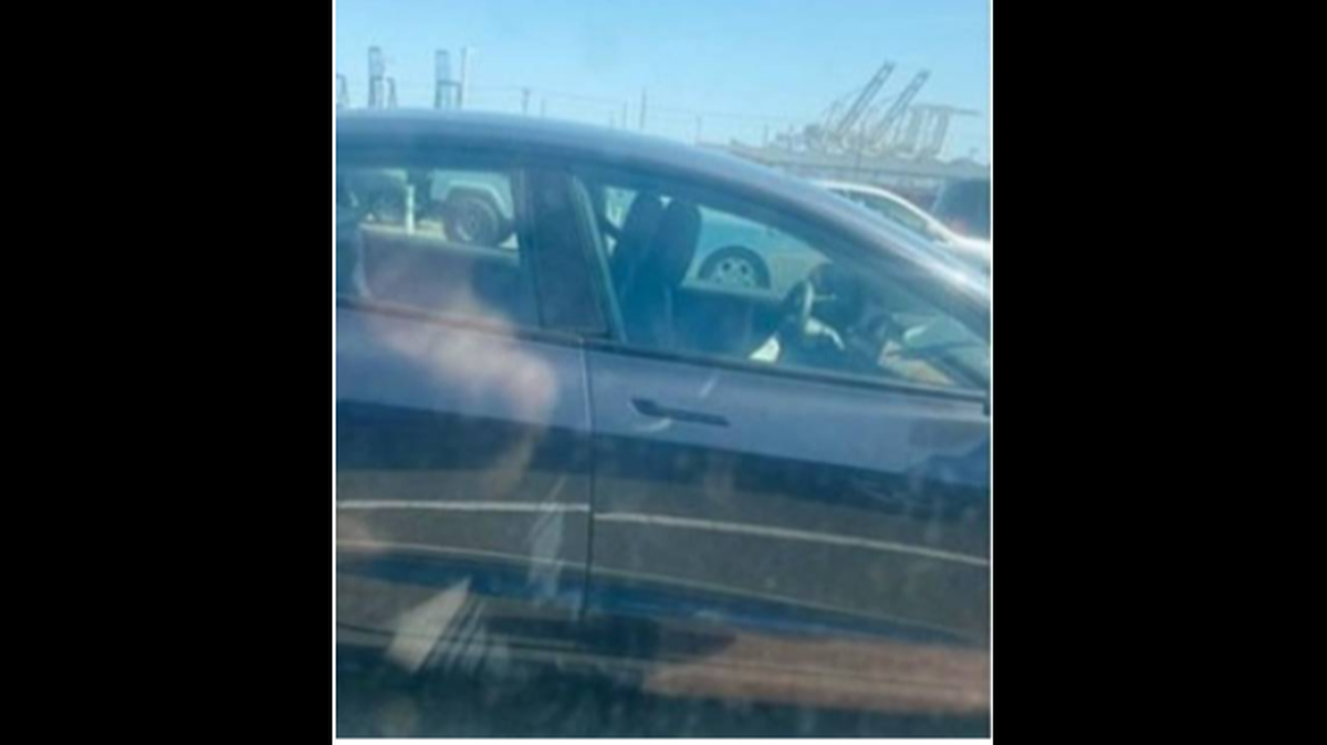 California Highway Patrol made an arrest after multiple concerned drivers reported a Tesla driving itself.