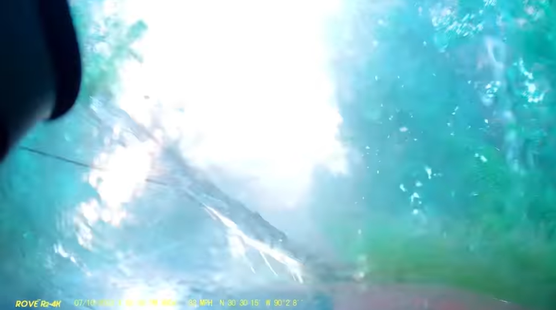 Electricity from the power line arced to the ground after being hit by the tree, the video showed.