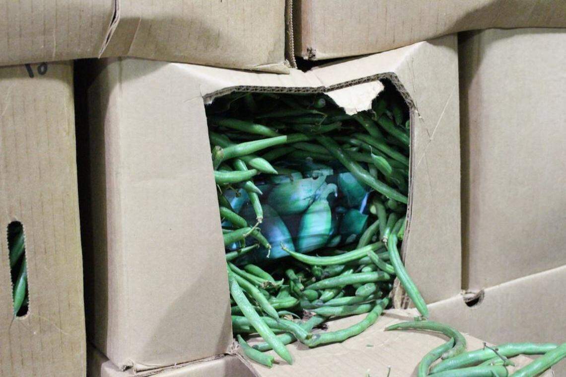 Border agents said the shipment purportedly held “mixed produce,” according to CBP.
