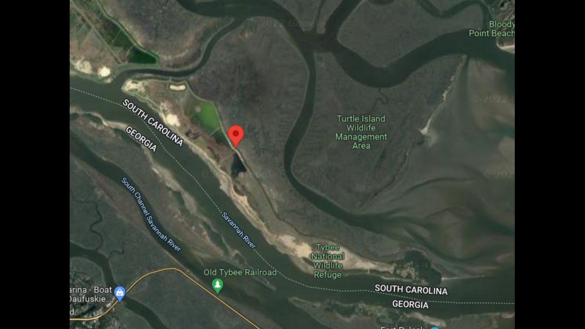 Human remains along with a wallet and identification belonging to a Georgia man who has been missing since April were found on Jones Island in South Carolina, officials said.