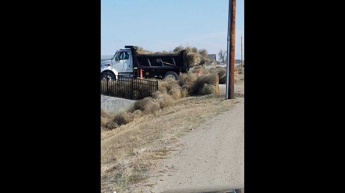 Crews used heavy equipment and large trucks to clean up a tumbleweed invasion Monday in Garden City, Kansas. Photo from Carmen Morillo Hickman.