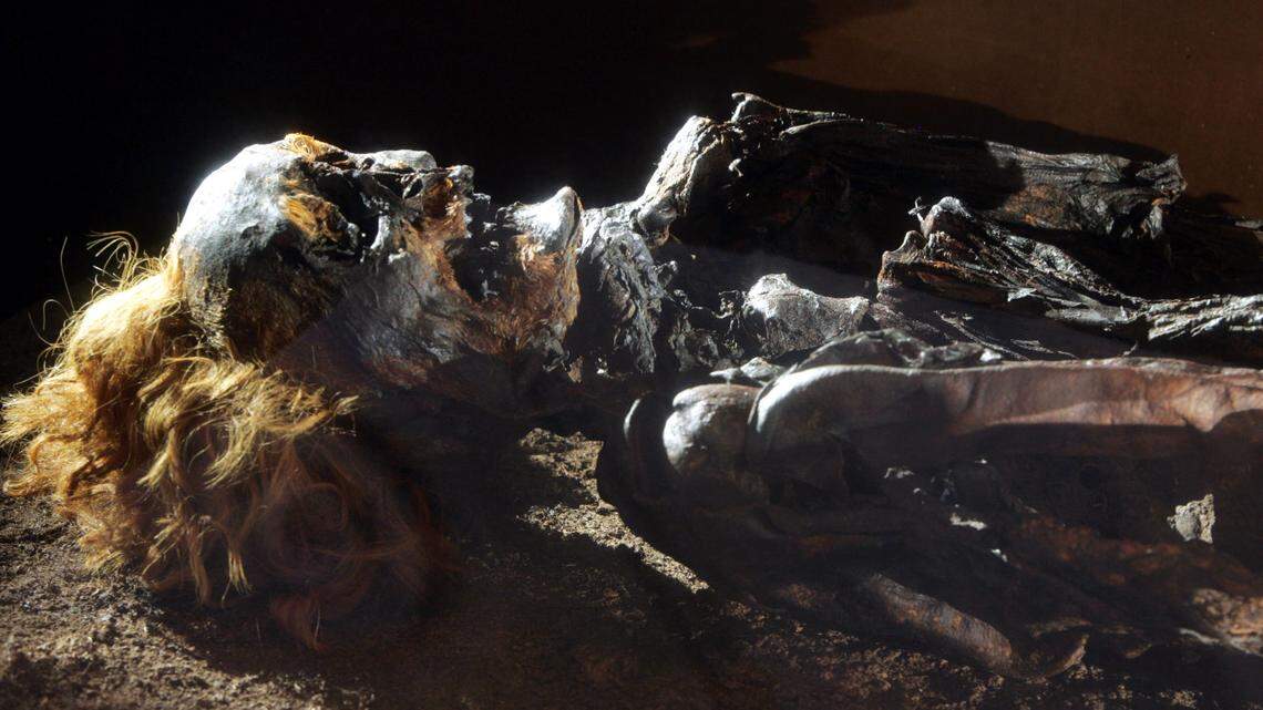 A display in Germany in 2005 shows a bog mummy named “Red Franz.” Researchers have now conducted the first large-scale study of Europe’s bog mummies.