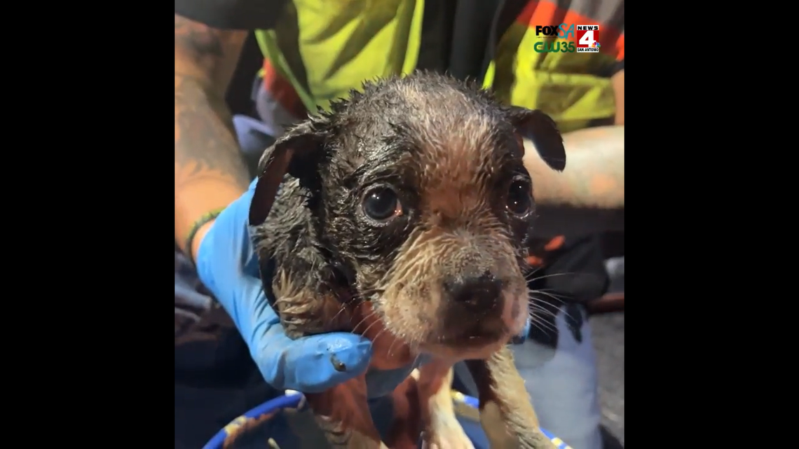 A Texas utility said workers spent hours rescuing a puppy that got stuck in a sewer line.