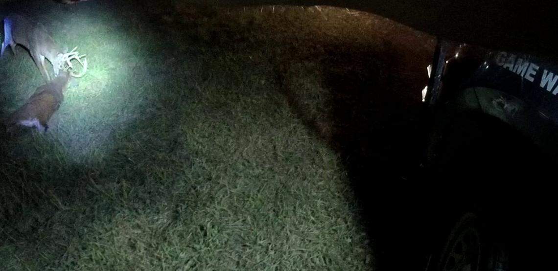 The deer were stuck together when a Kansas game warden arrived to help a landowner Wednesday night. Photo from Kansas Wildlife, Parks & Tourism - Game Wardens.