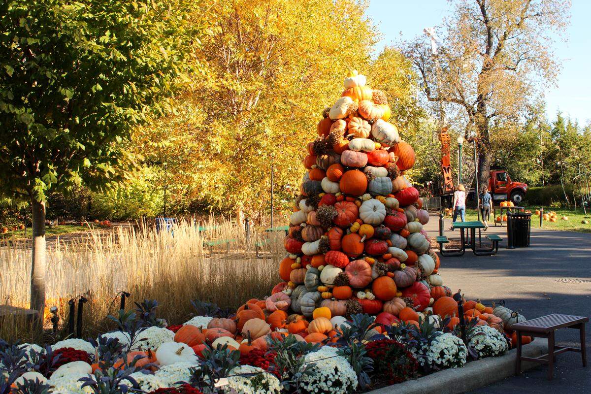 Pumpkin trees, mums, and Chihuly glass make the Franklin Park Conservatory a fall must.