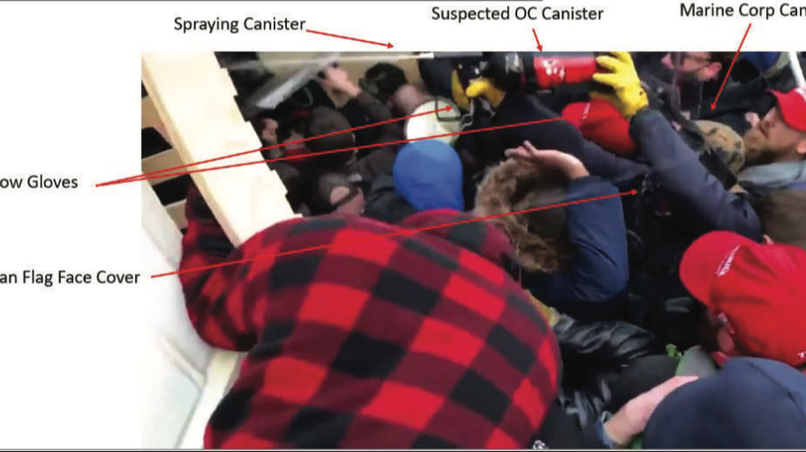 Ryan Nichols is accused of spraying U.S. Capitol police officer with an aerosol can believed to contain pepper spray, authorities say. Screengrab from FBI.