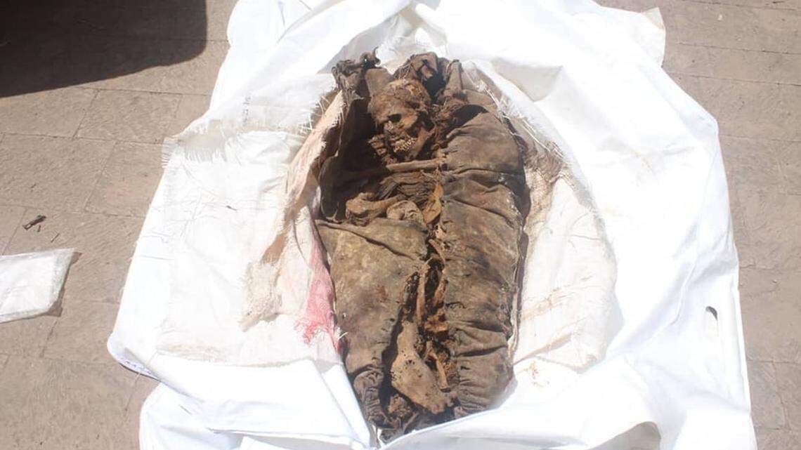 Grave robbers cut open an ancient mummy and discarded it near a dumpster in Yemen, officials said.