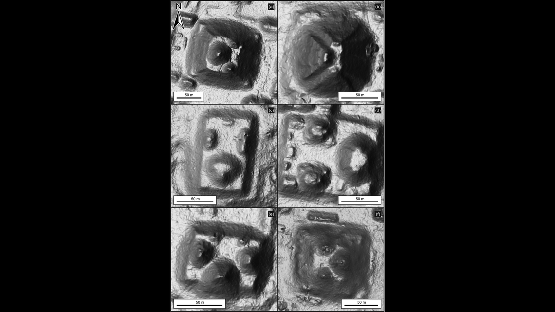 Experts say building the triadic structures required diversity and specialization.