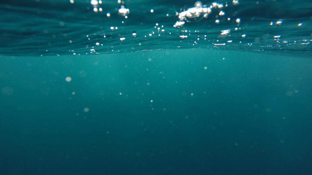 Divers spotted a rare and mysterious creature at a reef in the Pacific Ocean, according to the Ocean Exploration Trust.