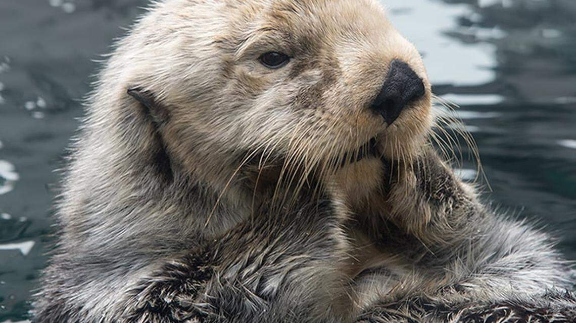 Lootas, affectionately known as “Grandma” by her caregivers.