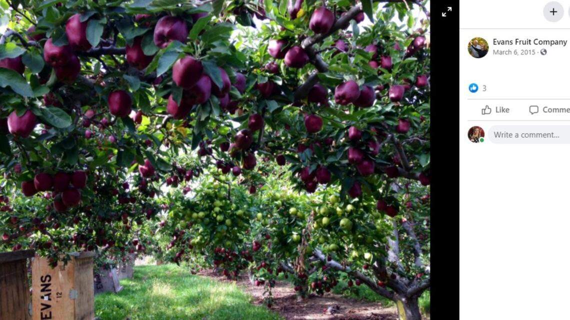 A Washington fruit company was fined more than $150,000 for willfully violating COVID-19 restrictions, officials say.